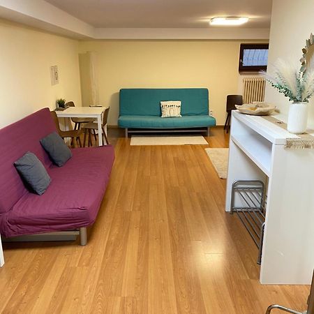 Ruhiges Privates Zimmer In Freiburg, Zentrumsnah, Naehe Europapark Exteriör bild